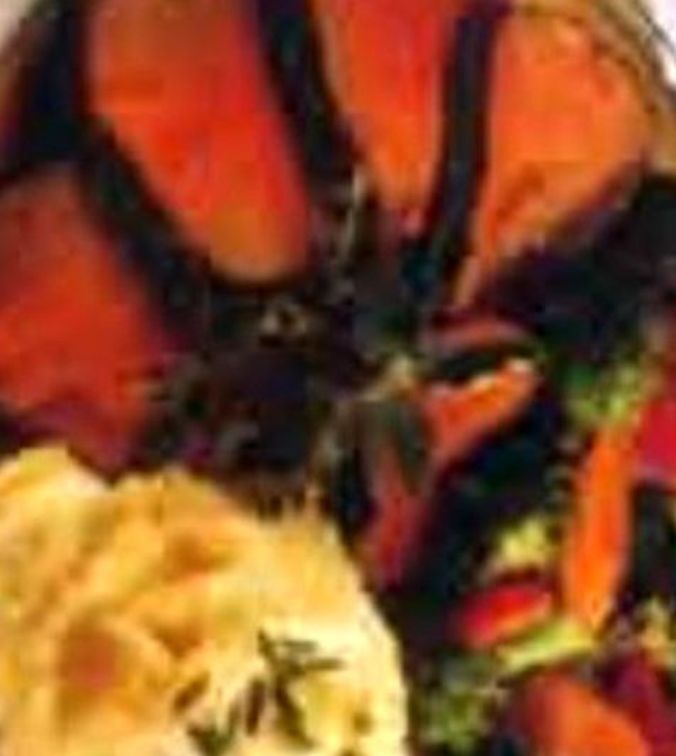 herbed-roast-beef.jpg